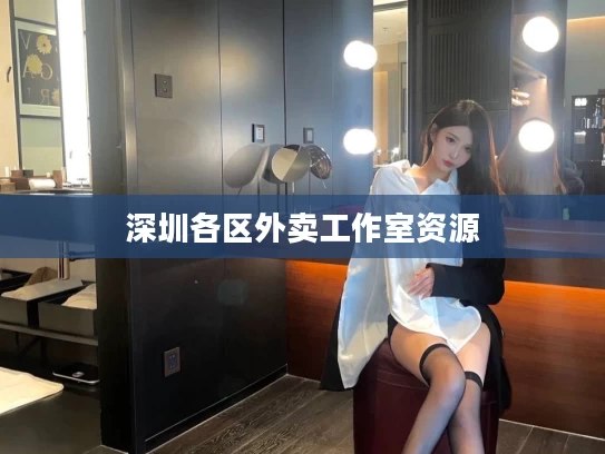 深圳各区外卖工作室资源