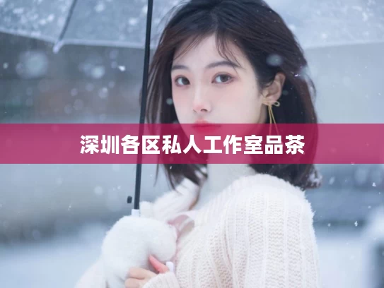 深圳各区私人工作室品茶