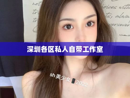 深圳各区私人自带工作室	