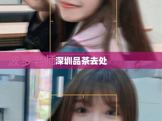 深圳品茶去处
