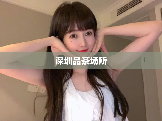 深圳品茶场所