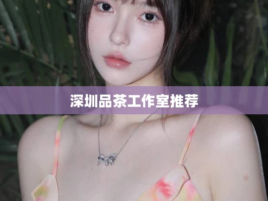 深圳品茶工作室推荐