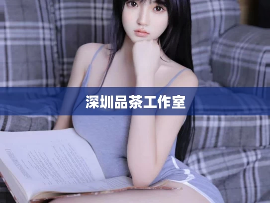 深圳品茶工作室