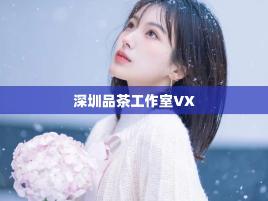 深圳品茶工作室VX