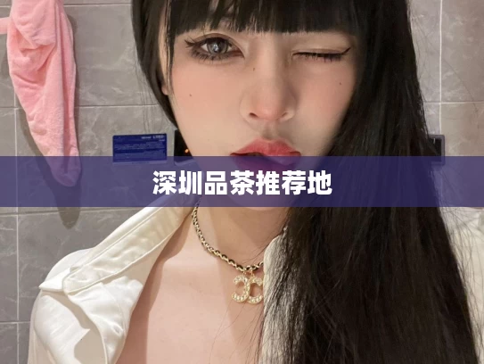 深圳品茶推荐地
