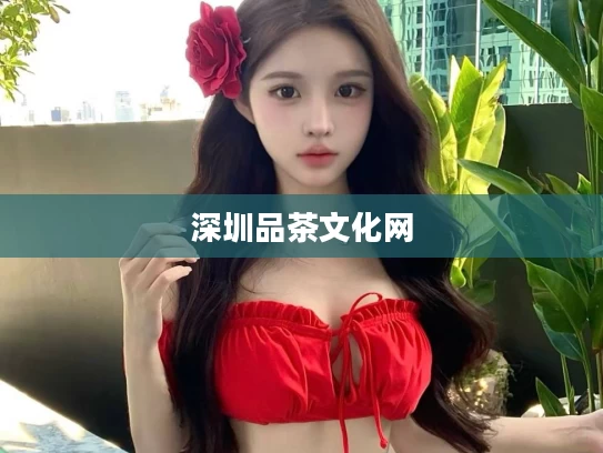 深圳品茶文化网