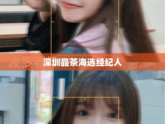 深圳品茶海选经纪人