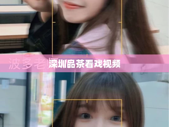 深圳品茶看戏视频