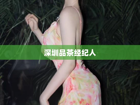 深圳品茶经纪人