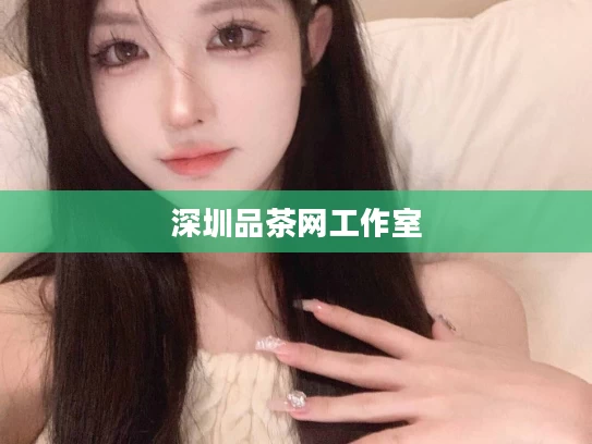 深圳品茶网工作室