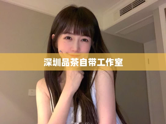 深圳品茶自带工作室
