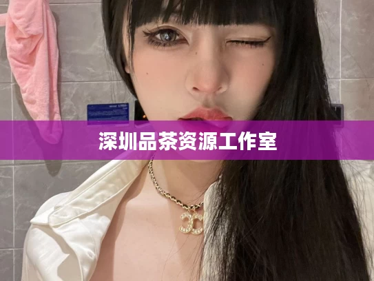 深圳品茶资源工作室