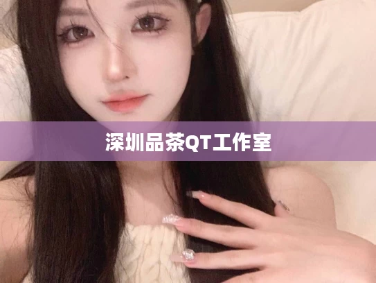 深圳品茶QT工作室