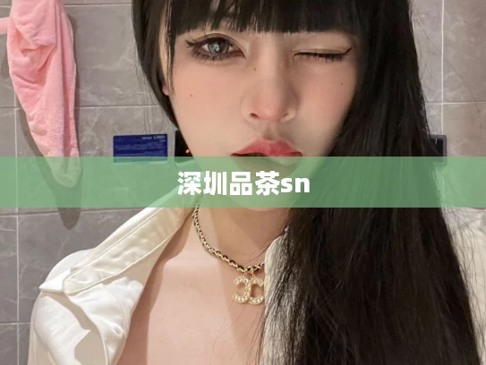深圳品茶sn