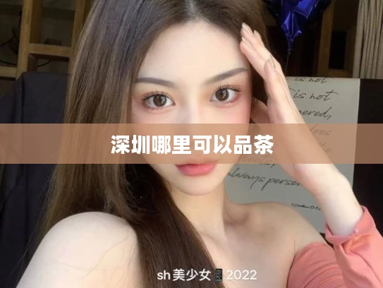 深圳哪里可以品茶