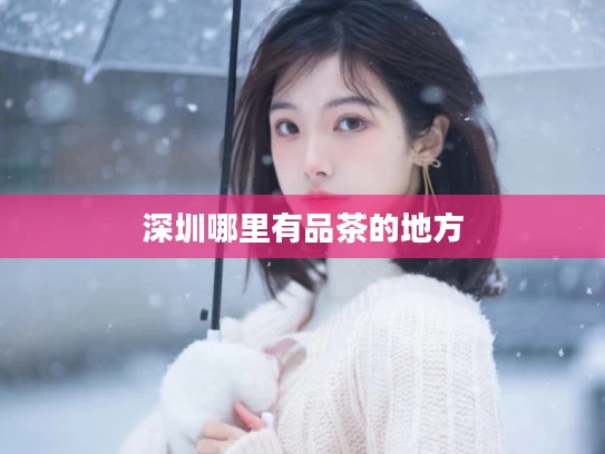 深圳哪里有品茶的地方