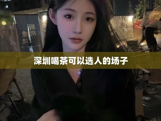 深圳喝茶可以选人的场子