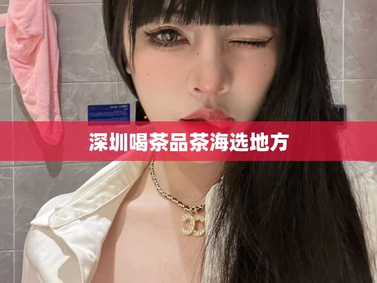 深圳喝茶品茶海选地方