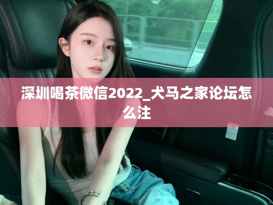深圳喝茶微信2022_犬马之家论坛怎么注