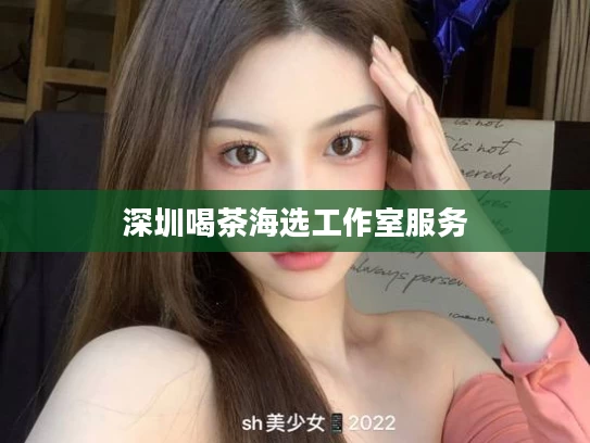 深圳喝茶海选工作室服务