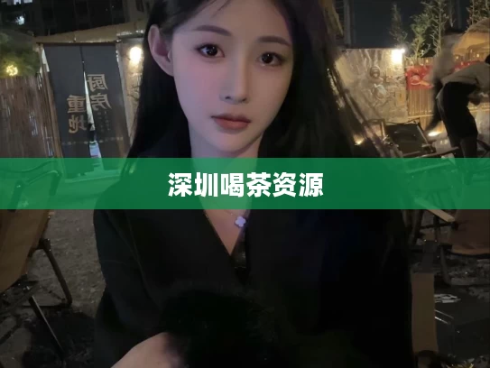 深圳喝茶资源