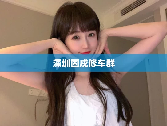 深圳固戍修车群