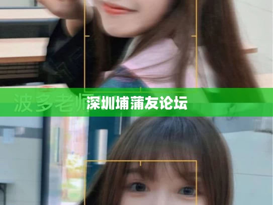 深圳埔蒲友论坛