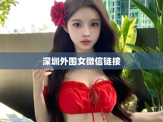 深圳外围女微信链接
