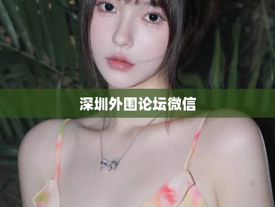 深圳外围论坛微信