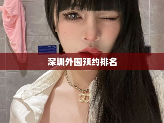 深圳外围预约排名