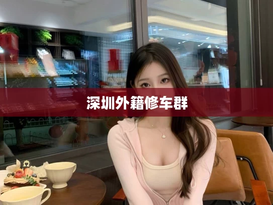 深圳外籍修车群