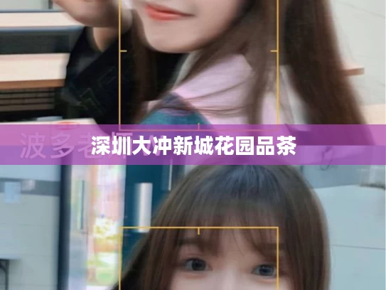 深圳大冲新城花园品茶