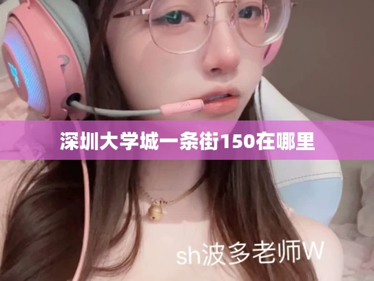 深圳大学城一条街150在哪里
