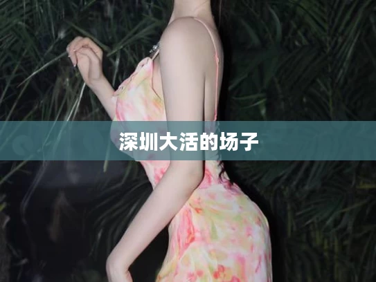 深圳大活的场子