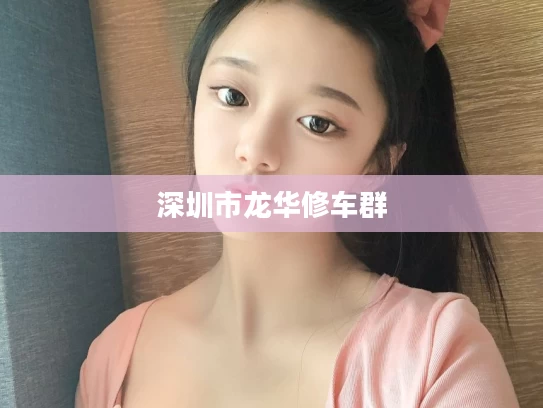 深圳市龙华修车群