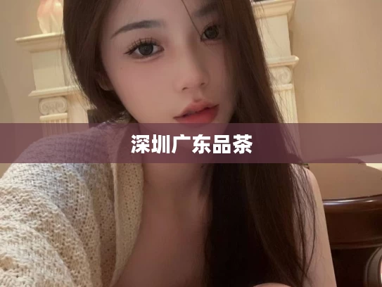 深圳广东品茶