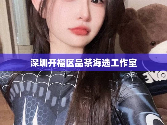 深圳开福区品茶海选工作室