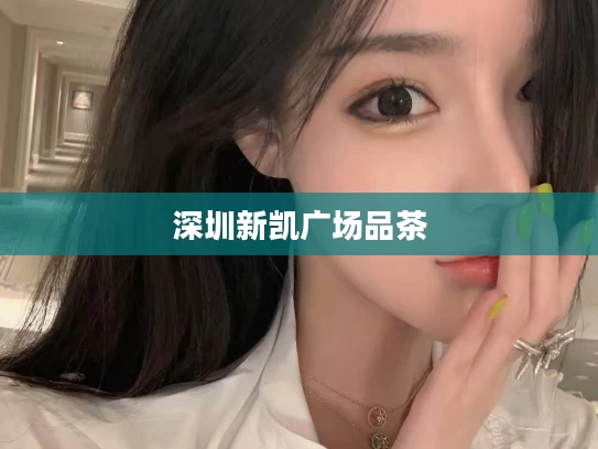 深圳新凯广场品茶