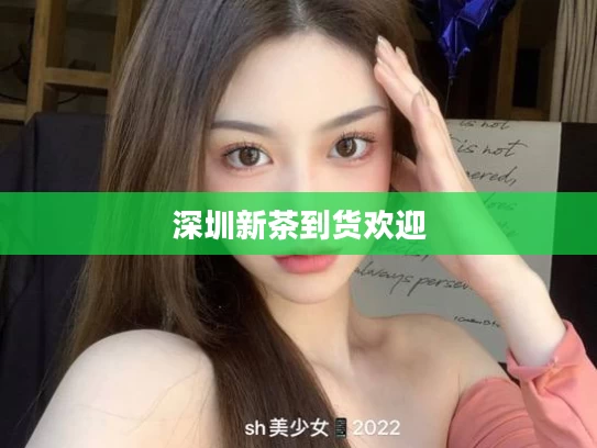 深圳新茶到货欢迎