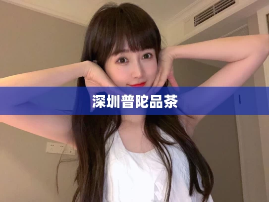 深圳普陀品茶