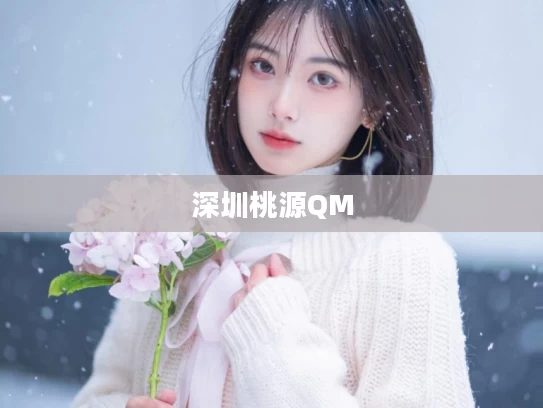 深圳桃源QM