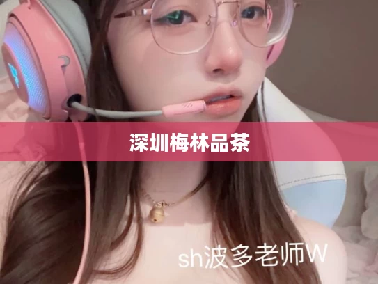 深圳梅林品茶
