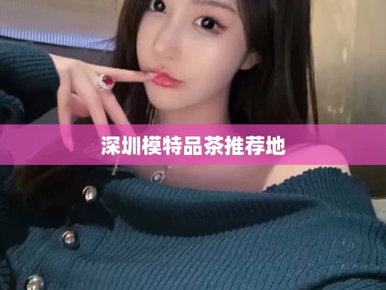 深圳模特品茶推荐地
