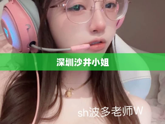 深圳沙井小姐