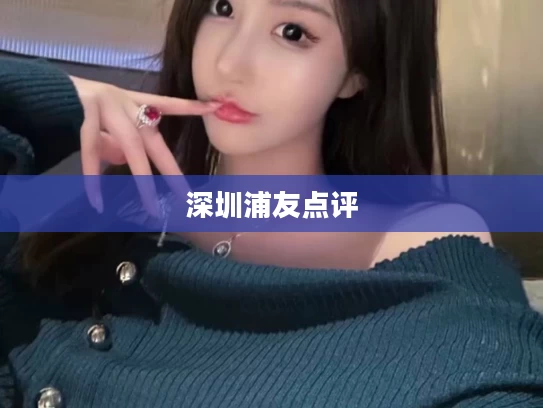 深圳浦友点评