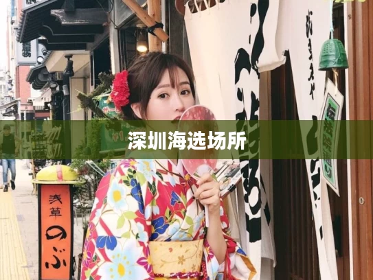 深圳海选场所