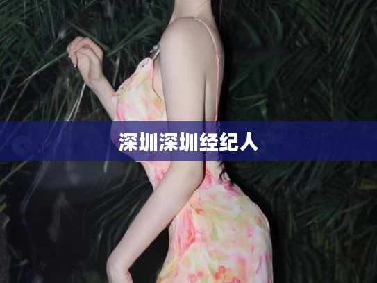 深圳深圳经纪人