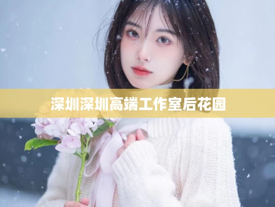 深圳深圳高端工作室后花园