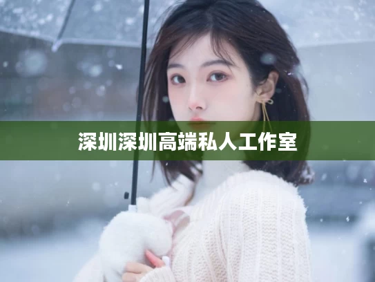 深圳深圳高端私人工作室	