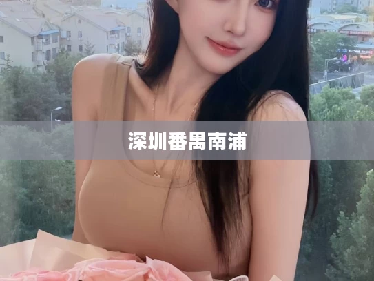 深圳番禺南浦